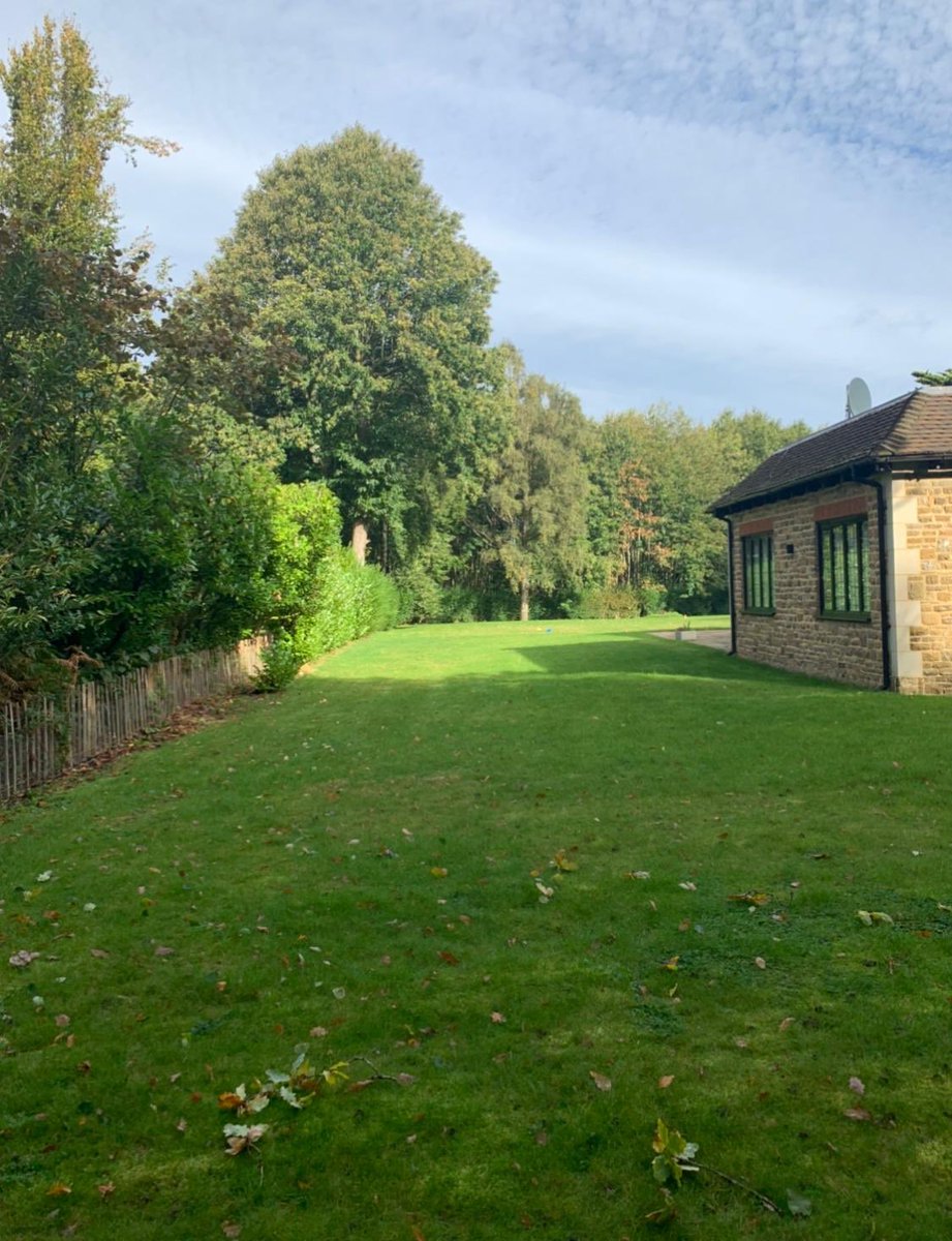 After almost a year of work, we are so excited to show you all this fantastic family garden in Surrey. As a sneak peek, here is a shot of the side garden at night, where a row of multistem Amelanchier cast shadows on the feature walls behind.