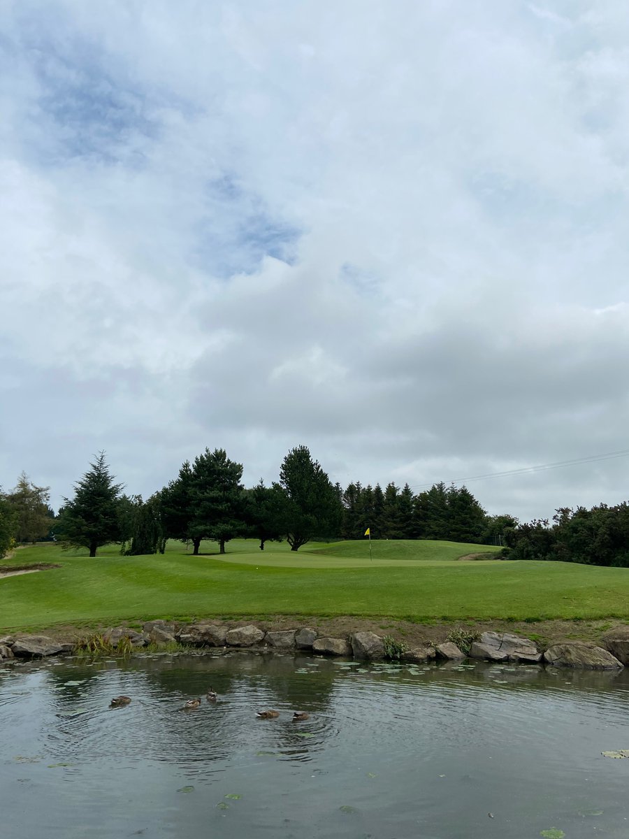 BalbrigganGC's tweet photo. Course in beautiful shape ahead of the Monthly Medal tomorrow and Presidents  Prize to men one Sunday. Some open comps coming up for anyone looking to experience this fine test of golf 
https://t.co/U55gbbrHtp https://t.co/8Pv8JQAvO1