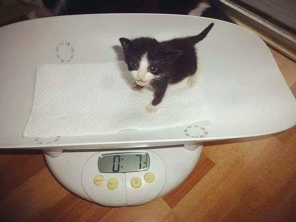 Peso lo suficiente para curarte la depresión