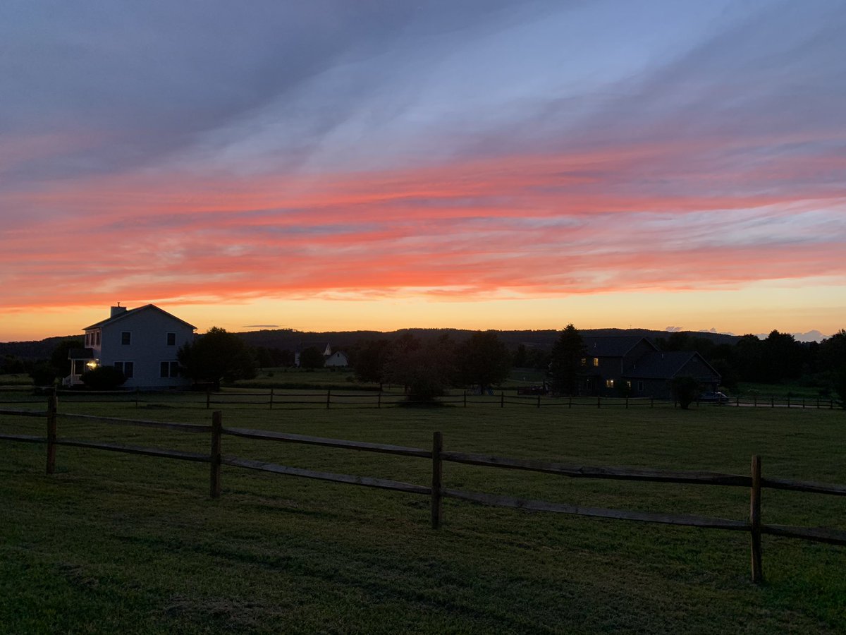 Cosmin Ilie tweet media