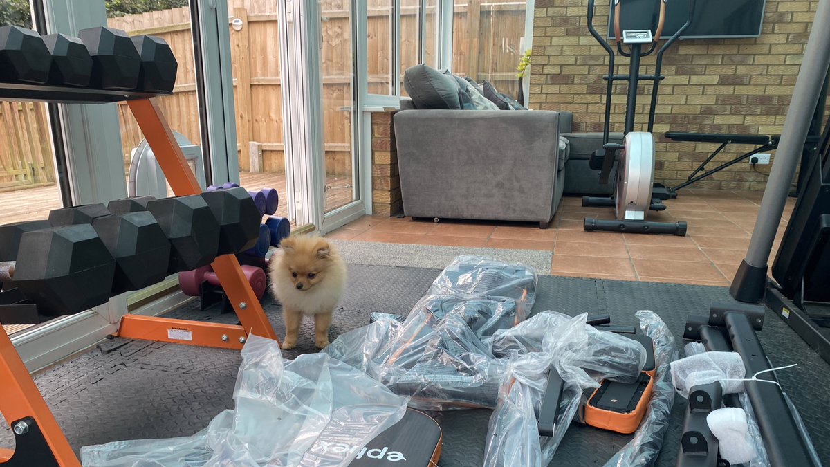 PaulHurst2020's tweet photo. This evening project to keep me distracted, is assembling this piece of gym equipment. The task is made considerably harder by Teddy, who thinks he is funny sneaking in to try & grab pieces! #ASBODog π€¦πΌββοΈπ https://t.co/t0tuwXDqfF