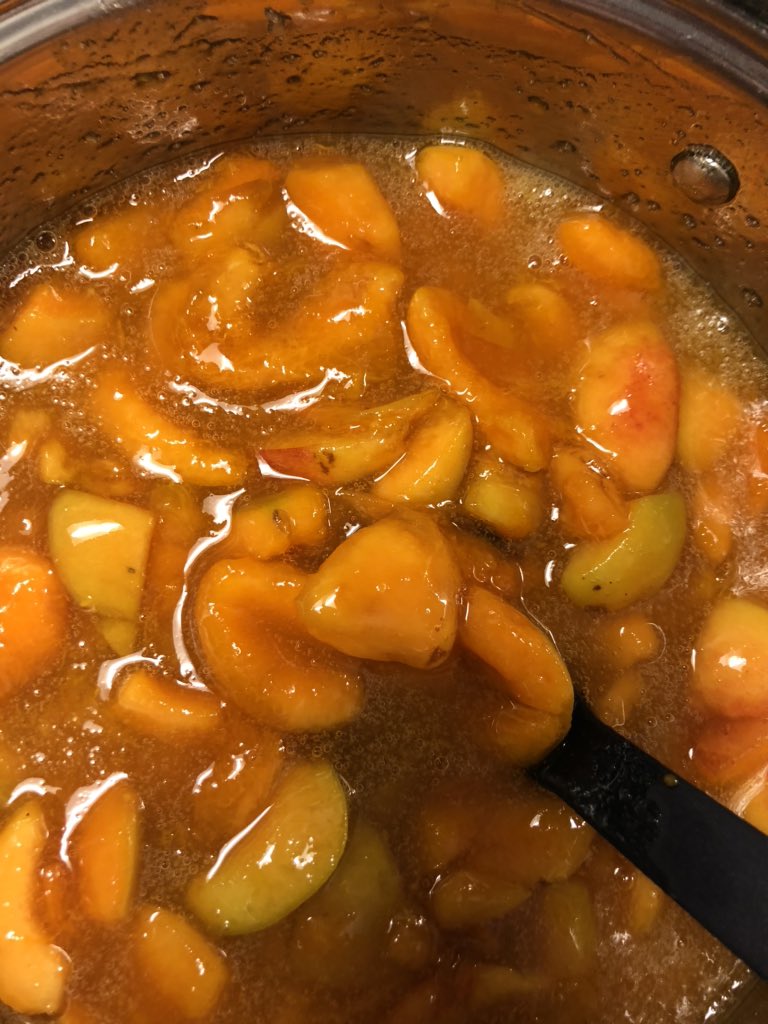 andreaspucher's tweet image. und es gibt sie doch... 💪 #wachauer #marille #2020 - #wir #warn #dabei