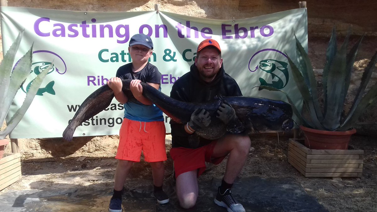 castingonebro's tweet photo. Drew and son into another at 70lb

#castingontheebro #rivercarp #catfish #ribarojadebre #riverebro #wildcarp #spain #gardenswims https://t.co/48sTR8SseA