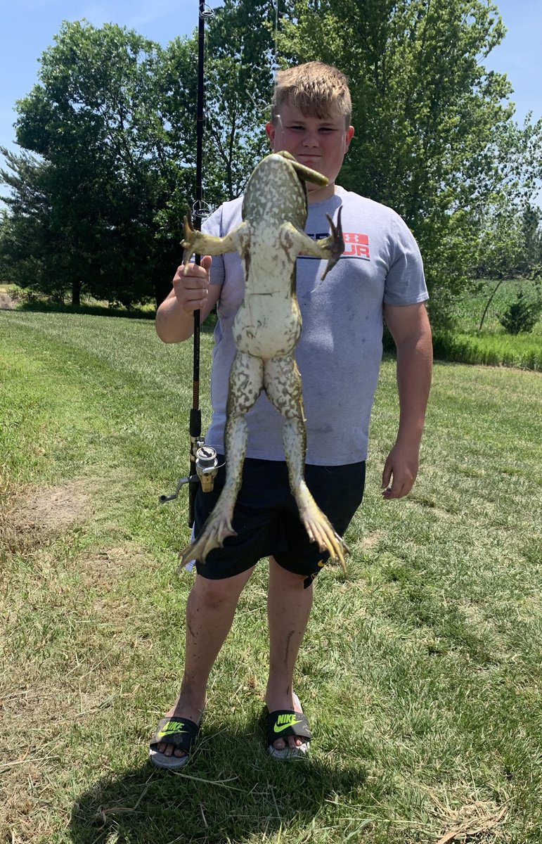 Chad_Bo_Smith's tweet image. Bo was just reeling in and this huge frog attacked his bait at the bank.