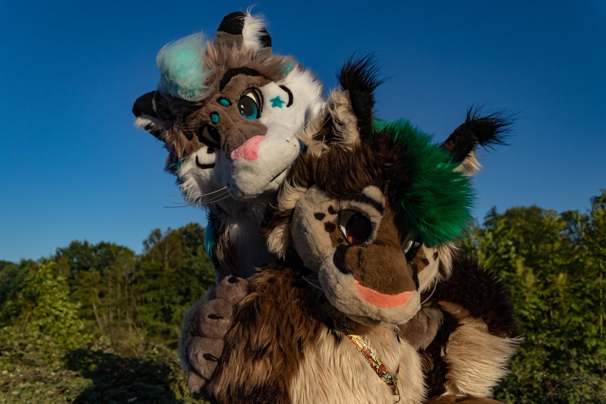 Un super week-end entre l'anthropomme et un Photoshoot en compagnie <a href="/Silou_Atien/">Silou 🐾</a> et <a href="/Yashn37/">Yashn</a> 

📸 by me 

#FursuitFriday #photography #furryfandom #furryfr #snep #lynx