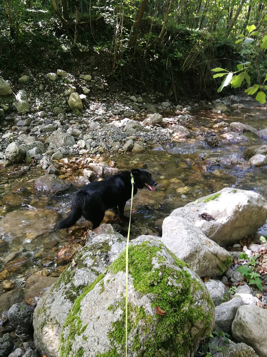 JelenaJal's tweet photo. Dopoldne je sonce, popoldne dež. No, treba bo prej vstajat na dopustu 😎 #Dona #palbin #gadiča #tmin https://t.co/MB80yGiD0T