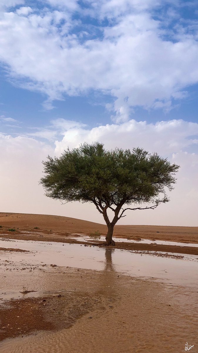 s_99909's tweet photo. لقطتين من سحابة اليوم 🌧 https://t.co/RyHCKLNTHH