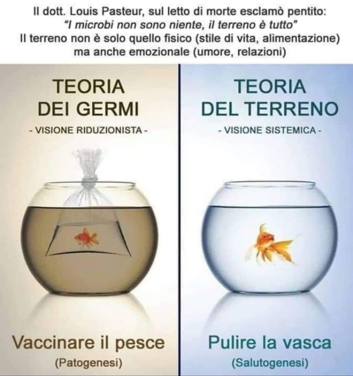 marigalga's tweet photo. Certe volte andrebbe recuperata la #libertà almeno di pensiero #thinkdifferent https://t.co/myEWBB6MJ2
