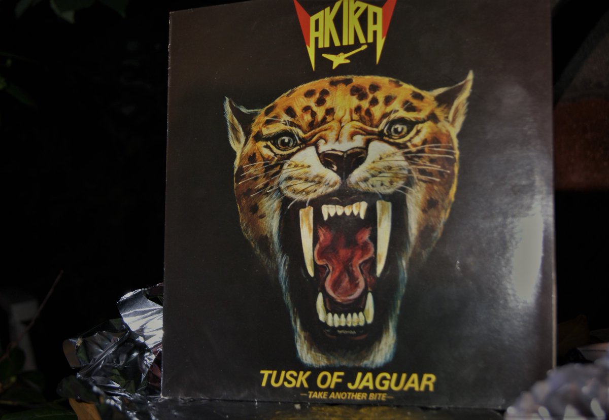 JanVervaeke1's tweet photo. @JanVervaeke1 / @michelserry87 ´s challenge 
100 albums uit het verre OOSTEN
Dag 71 : #Akira: Tusk of Jaguar~ジャガーの牙 # 1982 |#Osaka , #Japan)
Debut solo album of Loudness  guitar shredder
LISTEN : https://t.co/1jsulq9auN <---
#AkiraTakasaki
#HeavyMetal #asianchallenge https://t.co/JNObnZ8wpE