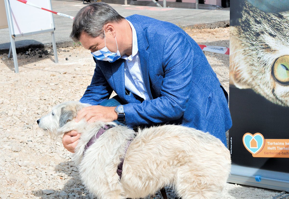 Jörg Kotzur tweet media