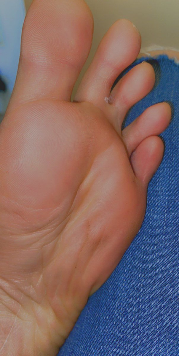 hentaibabs's tweet photo. you are fine ?
#feet #sexyfeet #foot #girls #leags #shoes #socks #Feetfettish #feetpicsforsale #feetbeautiful #prettyfeet https://t.co/dWTr0qnhhS
