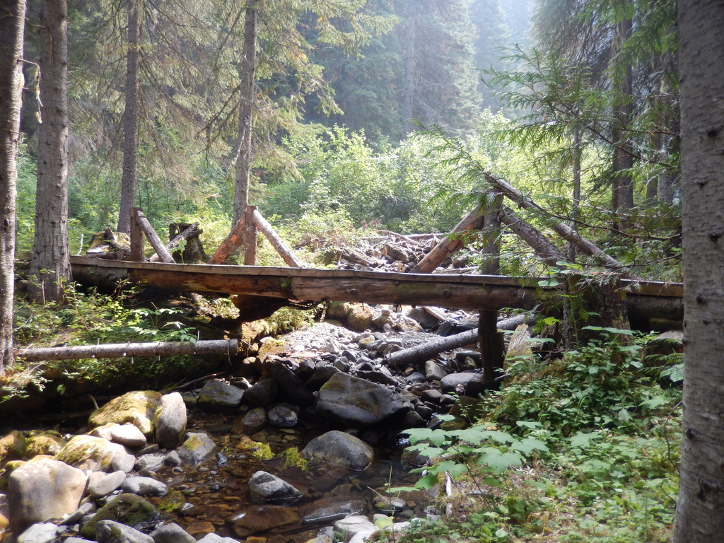 Hiker_Steve's tweet photo. This week I'll be showcasing Heather Trail, Manning Park, BC
#beautifulbc #explorebc #britishcolumbia #hellobc #bc #vancouvercanada #travelbc #vancouverbc #explorecanada #sharebc #outdoorvancouver #604now #westcoastbestcoast
#Vancouvertrails https://t.co/NCOQs7XrTa
