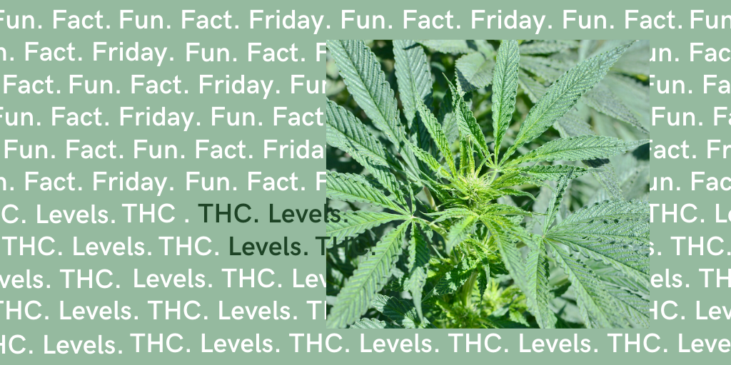 SpiritleafWH's tweet photo. THC levels, is it the only thing that matters when it comes to the effects of cannabis?
Join us on our insta-stories for a more in-depth look at this topic
#spiritleaf #thclevels #cannabisfacts #spiritleafwesthillhurst #spiritleafca #funfact #funfactfriday #canadiancannabis https://t.co/kUD9zLzJ2v