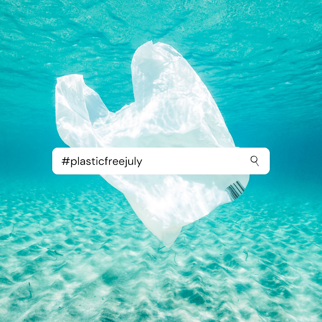 #PLASTICFREEJULY We are totally onboard with the plastic free July challenge! Who doesn’t like a good challenge? Especially when it involves reducing pollution and finding ways to live more sustainably.  

Living plastic free is more important than ever. Plastic is NON-biodegra
