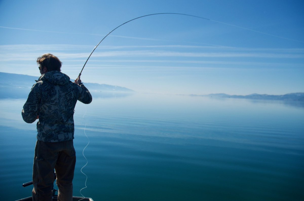 FlyRods_com tweet picture