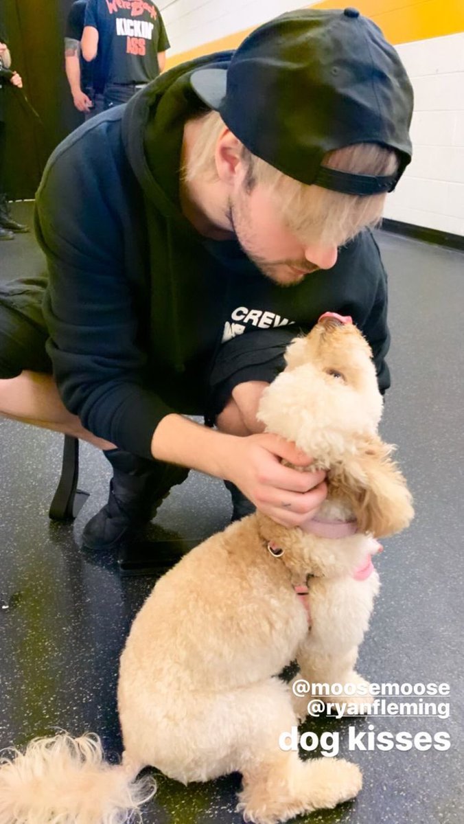 more dogs #MTVHottest 5 seconds of summer