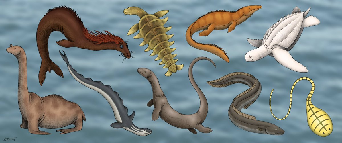 In the spirit of my recent giant squid post, I thought it would be fun to explore some fictional  #seamonsters (and show off some old drawings of mine in the process). So here’s a thread on the 9 sea-serpents imagined by Bernard Heuvelmans: