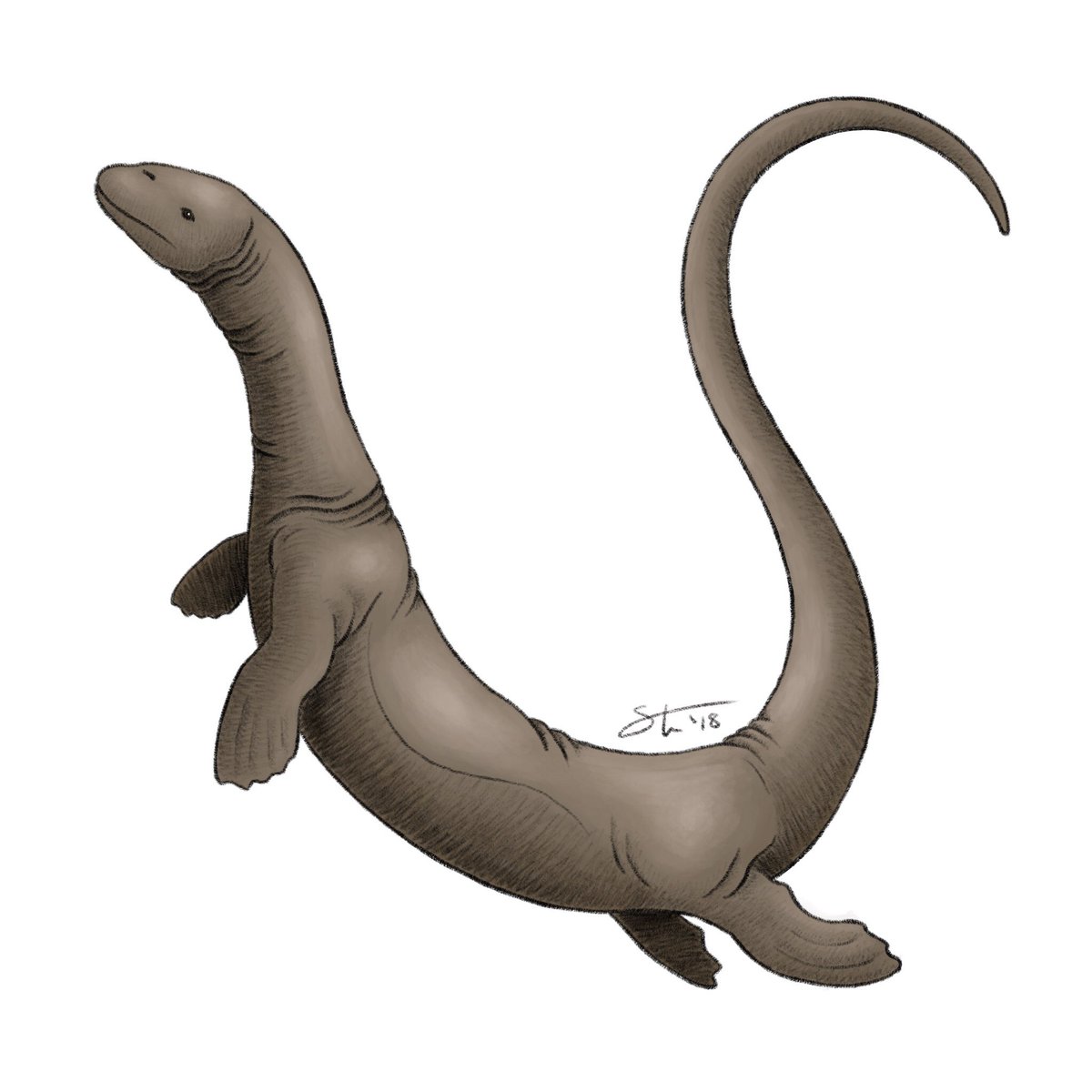 The Super-Otter inhabited Scandinavian waters and, despite its name, was thought by Heuvelmans to be an even more primitive whale than the Many-Humped (today we would probably classify as a protocetid). He also believed it had gone extinct by the late 1800s.