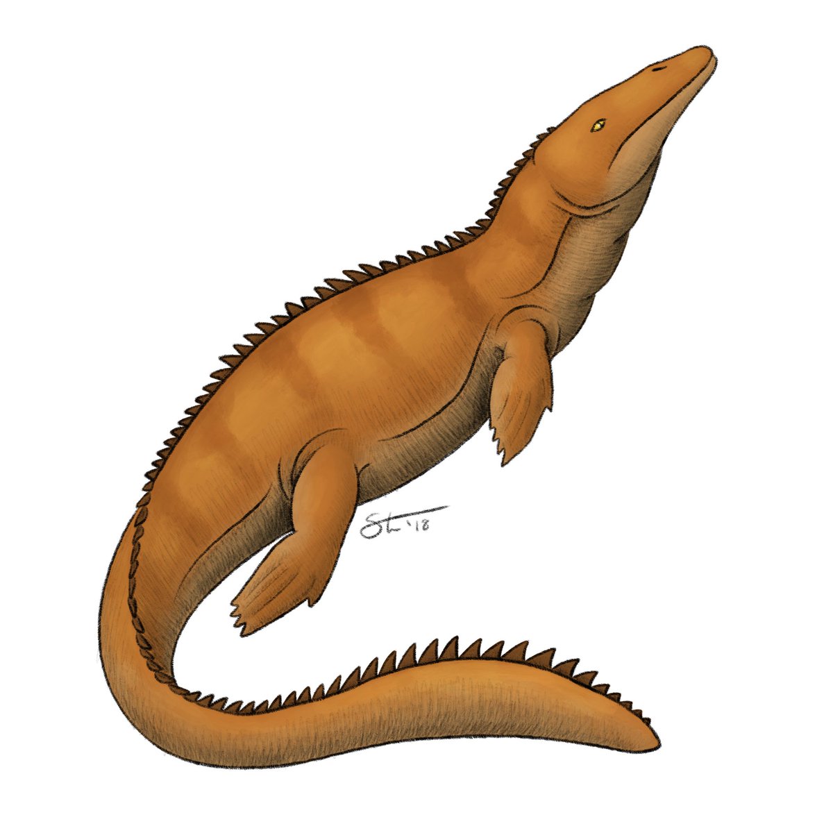 The first actual reptile in Heuvelmans’ system is the Marine Saurian, which he thought was either a surviving mosasaur or thalattosuchian. Unfortunately, the main sighting that formed the basis for this animal was probably a hoax, and the rest aren’t very descriptive.