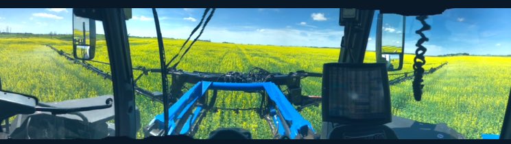 Araelya's tweet photo. #myfavoriteoffice #effoffsclerotinia #cotegra #agmorethanever #invigorcanola https://t.co/V80e4reKKc