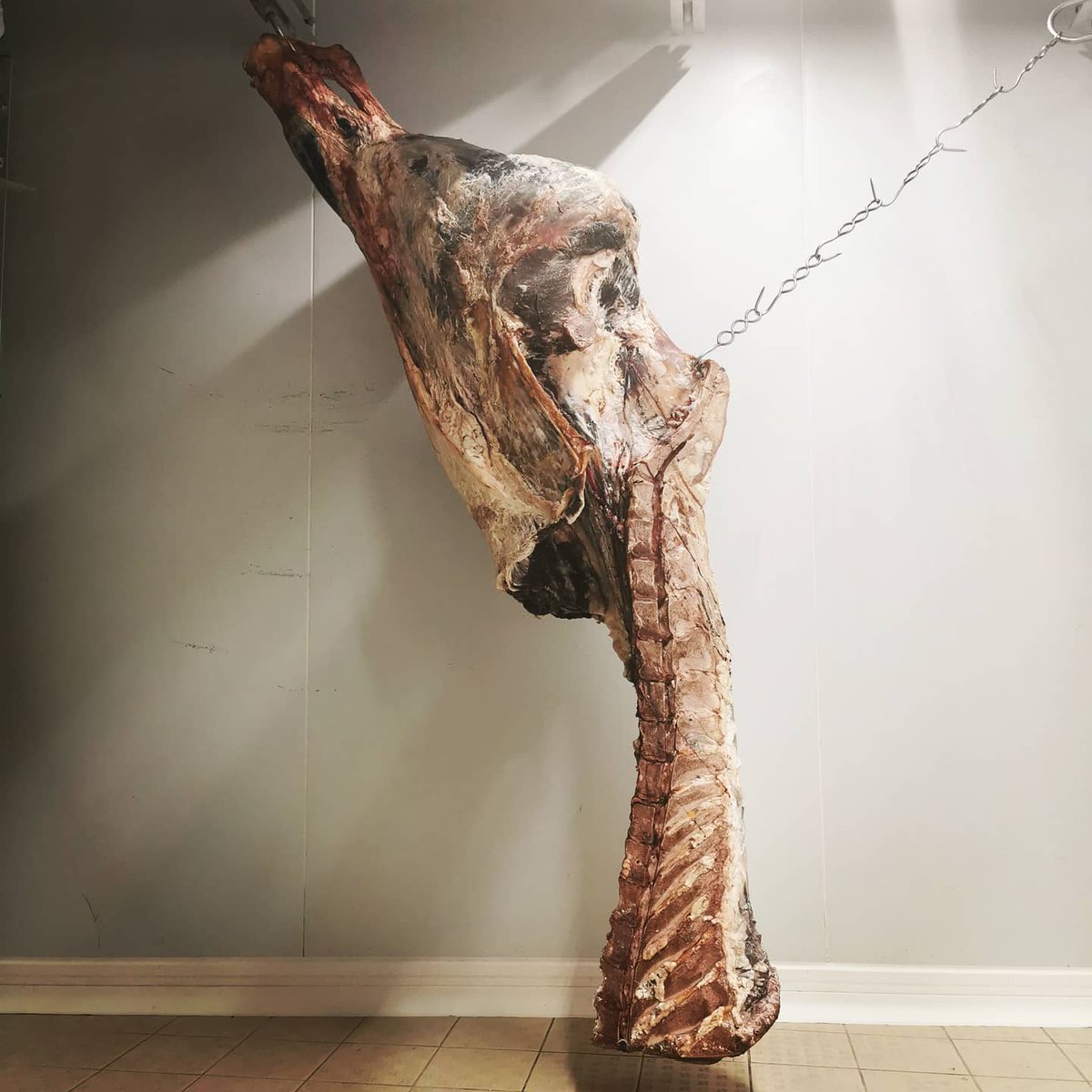 romain_leboeuf's tweet photo. Quand tu as un #arrière de #boeuf trop grand pour ta #chambre #froide 😅
Des #côtes, du #faux-#filet, du #rumsteck, du #gîte, de la #tranche et bien d'autres #morceaux qui #profitent #gentiment en attendant que je m'en #occupe 😍

#RomainLBF #SuspensionPelvienne #Plaisir #Partage https://t.co/Wu3axdjK3l