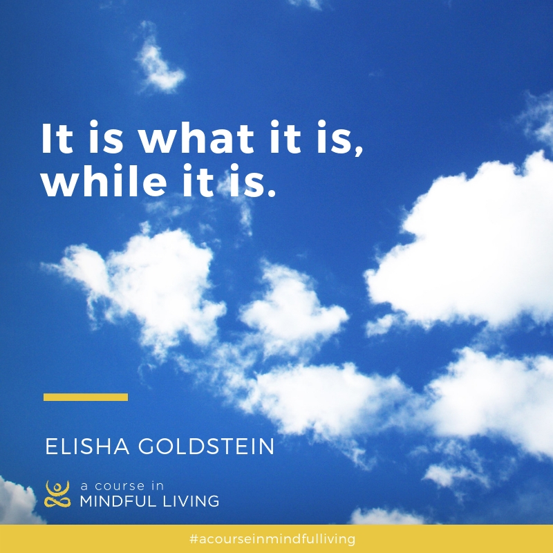 Mindful_Living's tweet photo. It is what it is, while it is. Nothing lasts forever. Difficulties will pass and so will the wonders; tune in to the preciousness of life.
#NowEffect #ItIsWhatItIs #MindfulLiving #Mindfulness https://t.co/mpJ2B1mtvV