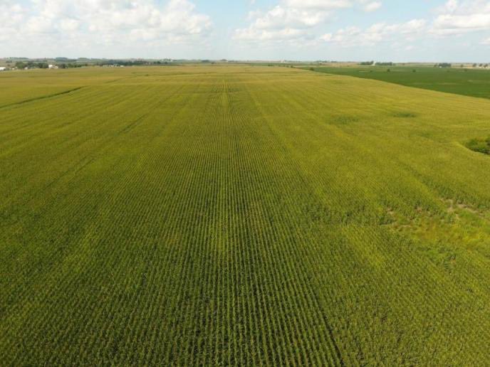 EvanHansmeier's tweet photo. Tired of dealing with poor dry product applications? With Recon SpreadSense from Inteligent Ag you can spread with confidence thanks to flow and blockage detection for each deflector on your Air Boom machine. Reach out to us for more info on Deere, Ag-Chem, and Case machine kits. https://t.co/m6ZNEdymOe