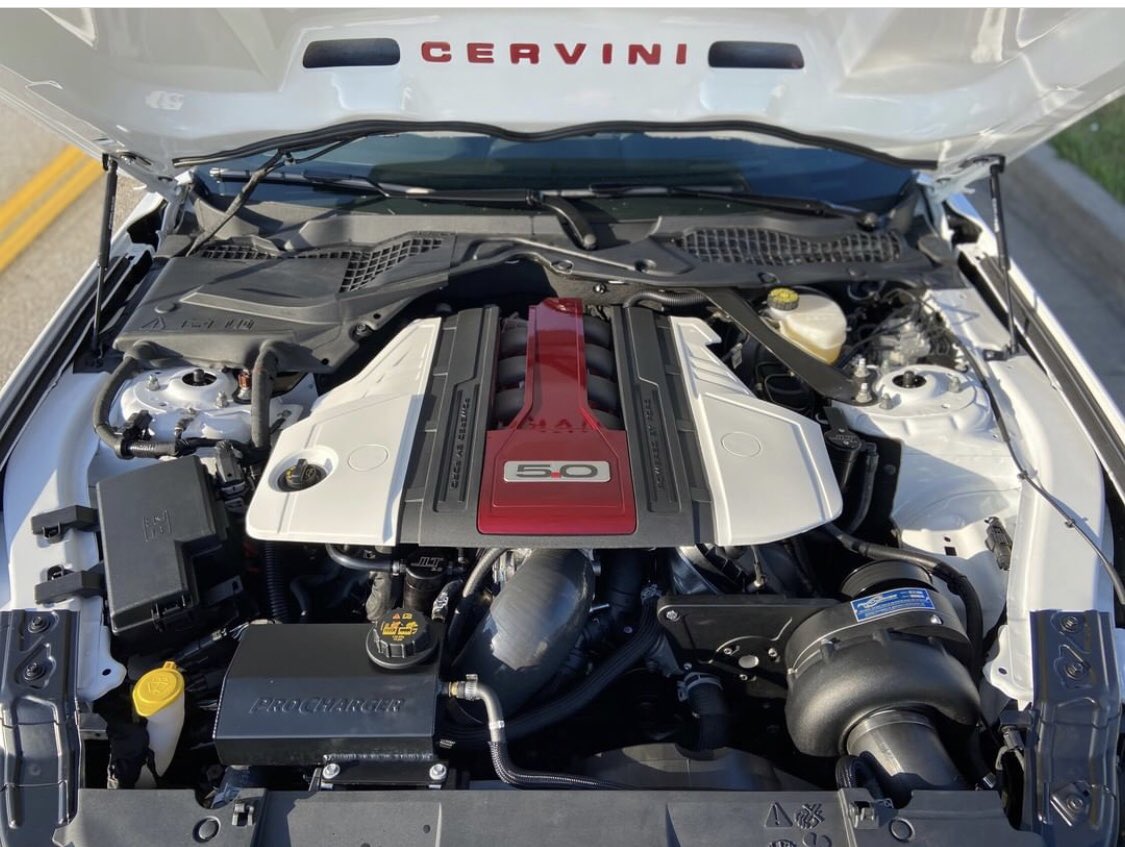 Ford Muscle (@fordmusclemag) on Twitter photo Is your Gen 3 Coyote <a href="/ProCharger/">ProCharger Superchargers</a> equipped? 📸: #procharger #S550 #Mustang #FordMuscleMagazine #FordMuscle Is your Gen 3 Coyote <a href="/ProCharger/">ProCharger Superchargers</a> equipped? 📸: #procharger #S550 #Mustang #FordMuscleMagazine #FordMuscle