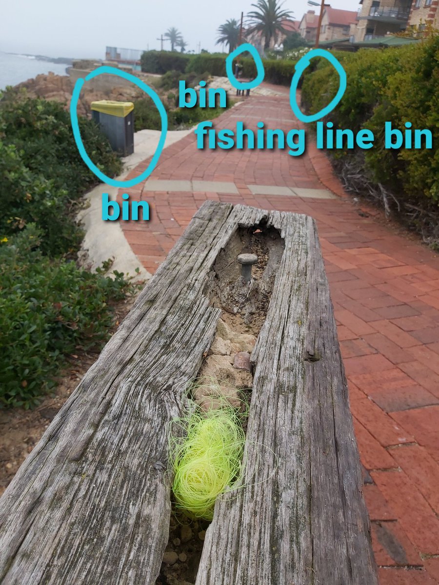 Keep Fin Alive tweet media