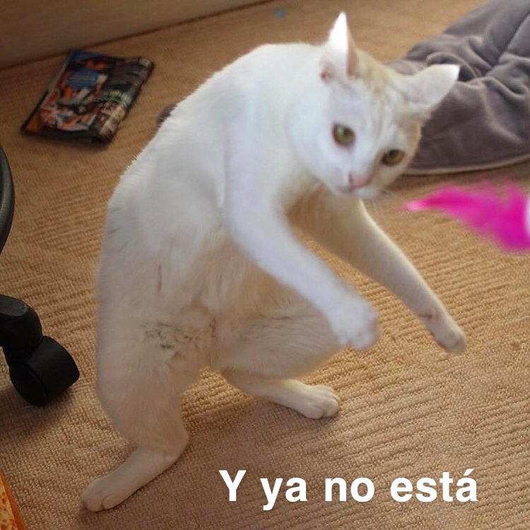 Estar en clase virtual y que se te desmutee el micrófono sin darte cuenta y vos hablando, es algo que no se lo deseo a nadie jajajaja