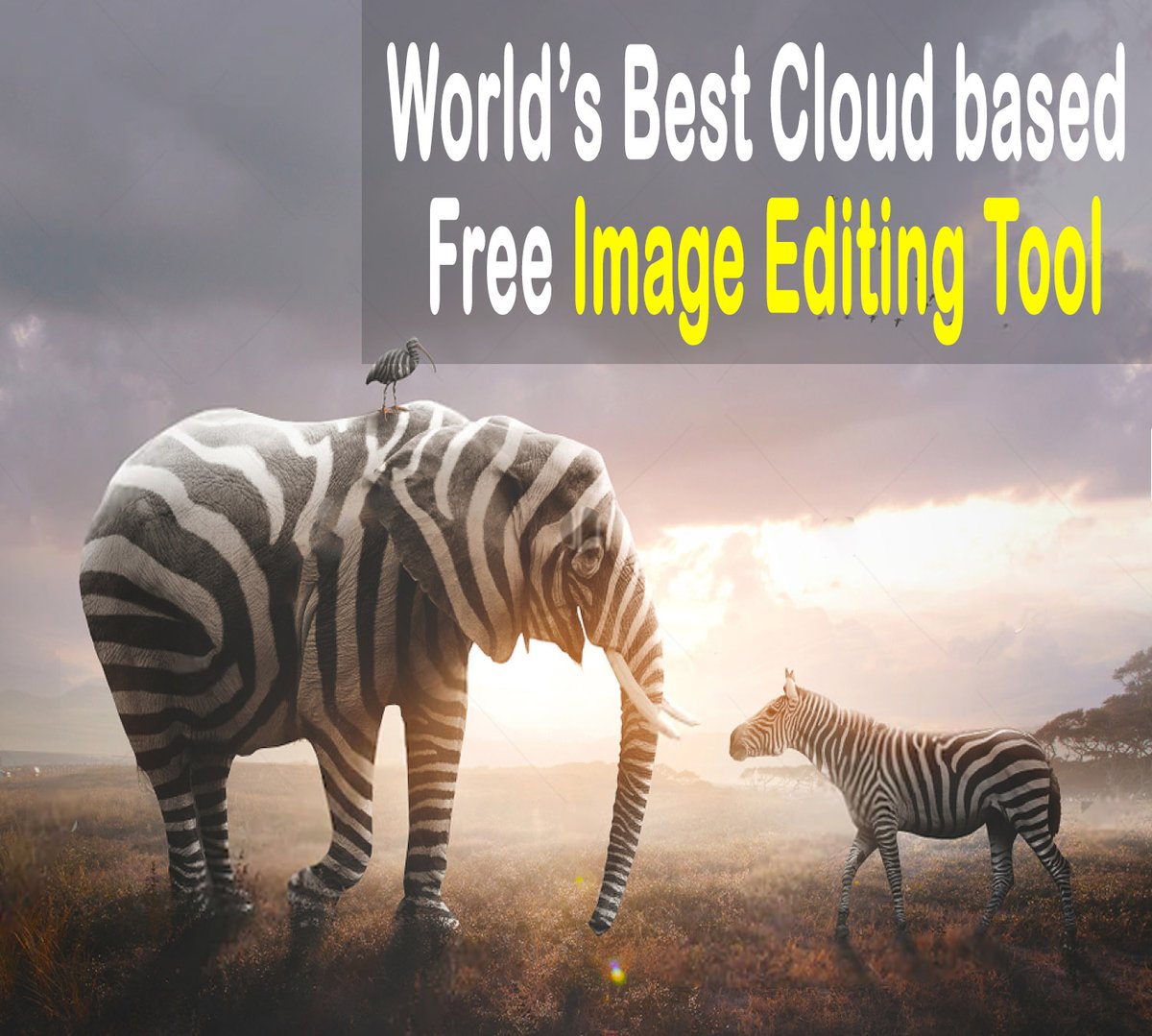 MadhumathiS4's tweet image. World’s Best Cloud-based Image Editing Tool - Free Tool
bit.ly/379HVb5

#imageeditingtool #businessowners #socialmediamarketer #freetool #graphicdesigntoolforbloggers #makemoneyonline #workfromhome #attractaudience #growyourbusiness #disclosurecommissionearned