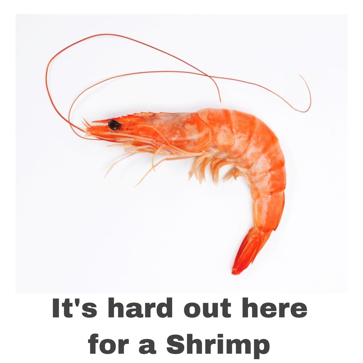 CJ Music💘 (@therealcjmusic) on Twitter photo 