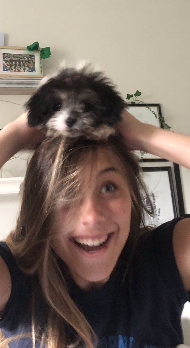 MariaSicaRoth's tweet photo. Fun With new pup! @theIgroup #igroupersathome #FridayFeeling #puppylove https://t.co/X4p2q9XnPd