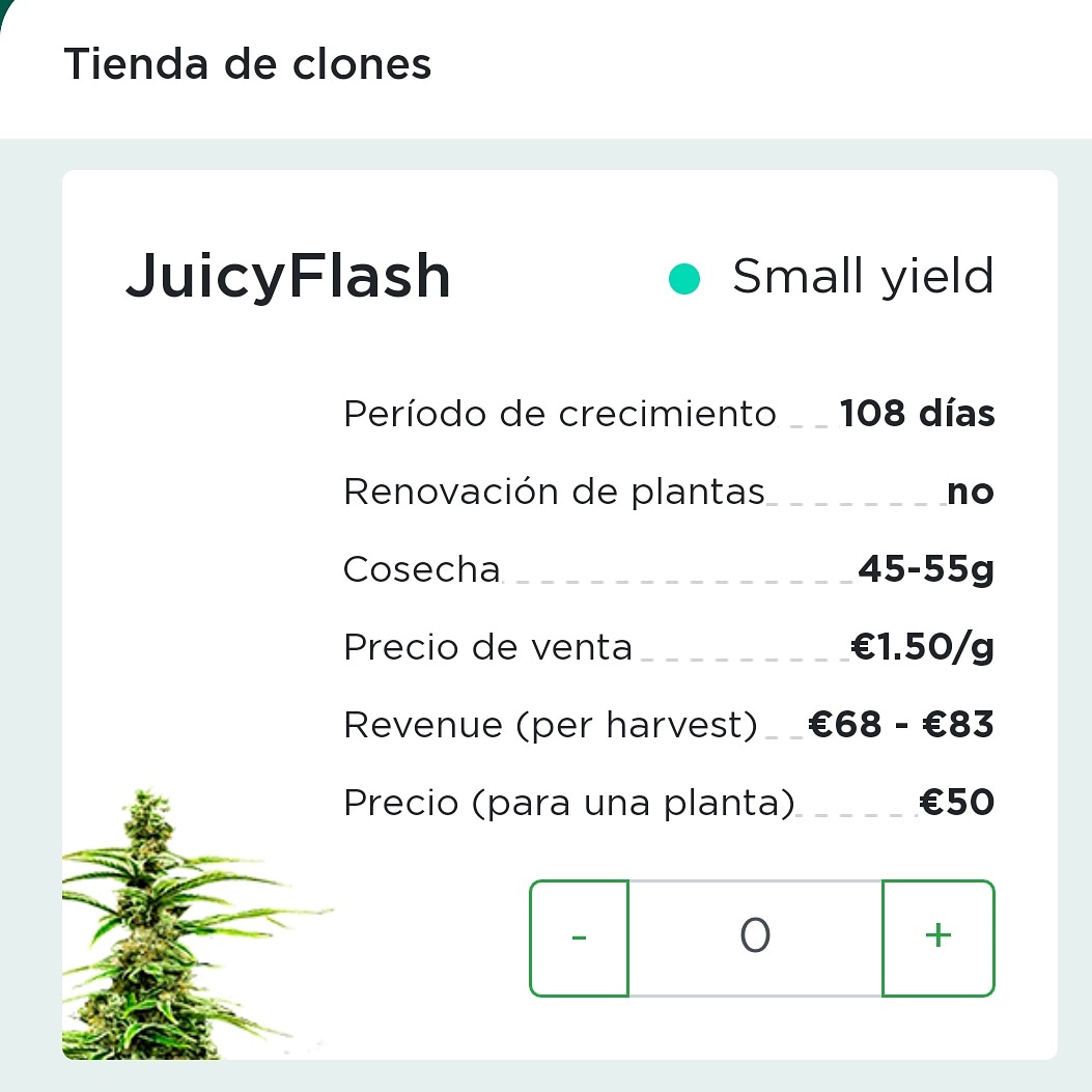 JuicyFields_es's tweet photo. Cultiva Cannabis de forma completamente legal 🌱
Pocos saben de la productividad que da esta pequeña...
En poco más de 100 días la pequeña Juicy Flash está preparada para la venta... 
¿Quieres la tuya?
#weed #inversion #marihuanalegal #marihuanamedicinal  #legalweed #juicyfields https://t.co/geqpzk0VZw