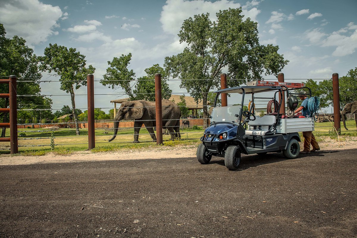 CushmanVehicles's tweet photo. With a customizable bed and practical dash design, you will be ready to transport the tools and equipment for any job. #Cushman #Hauler https://t.co/HZkkLcZ25A