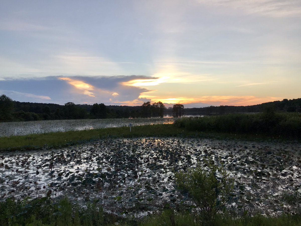 wortholomew's tweet photo. A #FlashbackFriday look at last weekend’s trail run. Lovely views.
#RunChatHunt — Sunset ✅.
#IStandWithYou #teamnuun #HSHive #RunBlueRidge #KeepItTight #SquirrelsNutButter #AltraRedTeamUS #TeamROADiD #RunChat #IHeartTally #Trailahassee #Sunset #SceneOnMyRun #SeenOnMyRun https://t.co/gi4JuzKUk0