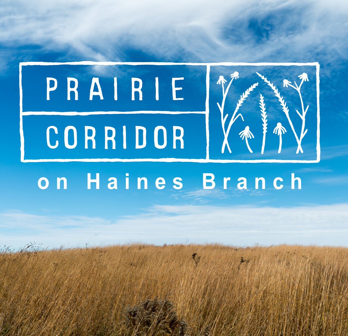 LnkParksRec's tweet photo. Today is #FollowFriday and we'd love to share the Prairie Corridor on Hanes Branch page. This account promotes awareness, understanding, and stewardship of the natural environment. Take a moment to explore the prairie and hop over to their page! @PrairieCorridr 
#LNK https://t.co/vETqwHi8LE