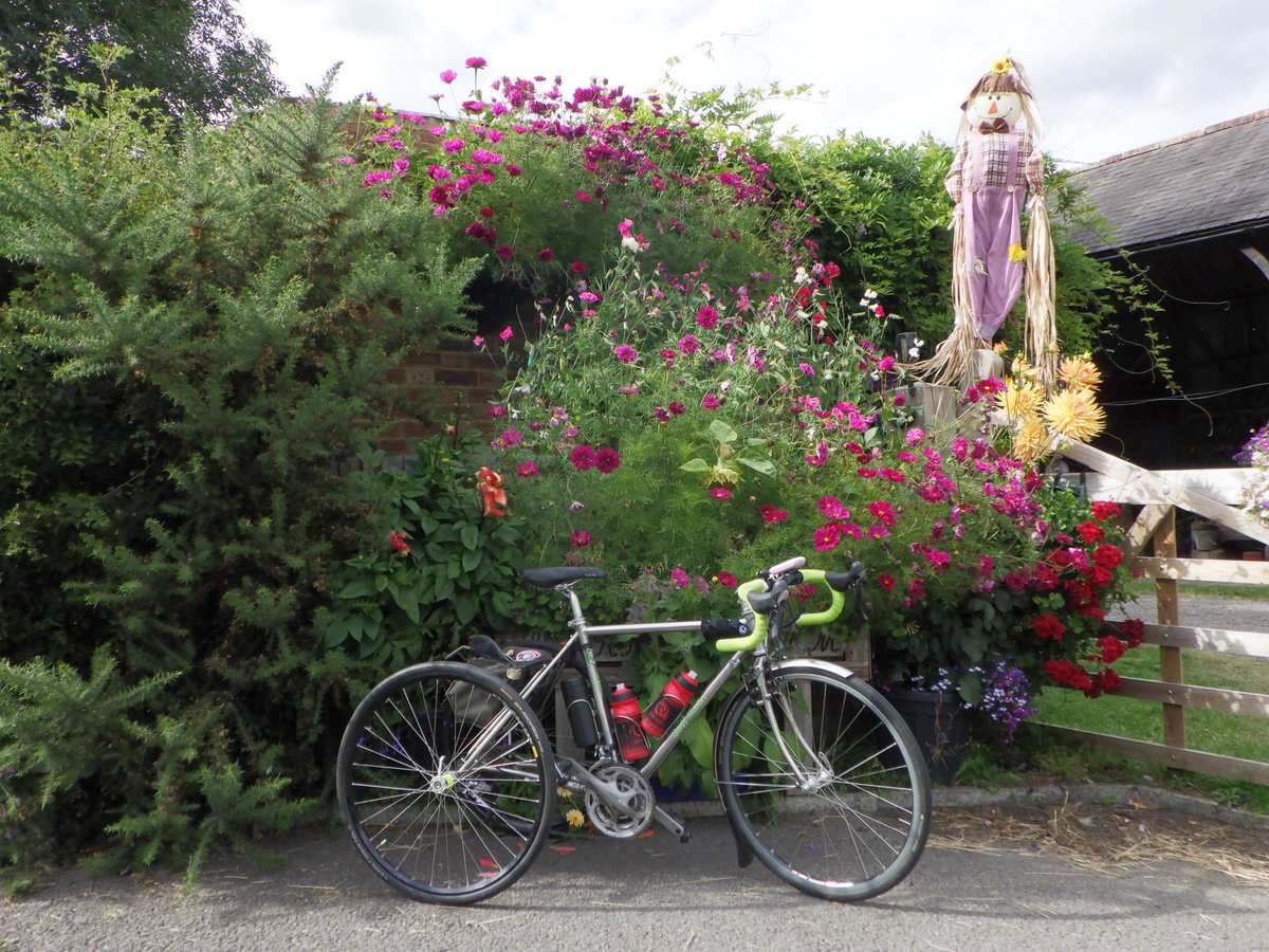 Sunniethehoob's tweet photo. They’ve been out again. Looks like Hoom & Digby have made a new friend.
#tricycle #outsideisfree #toddyshug #rawvelo #twecckle #outsideisfree #lecolchallenge https://t.co/he0yHg3thc