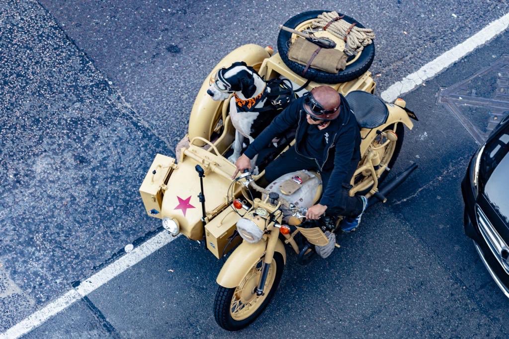 NewJournal's tweet photo. Lots of debate over the use of Euston Road recently, but everybody stopped to see these two passing by this week https://t.co/S5nvMffgHc