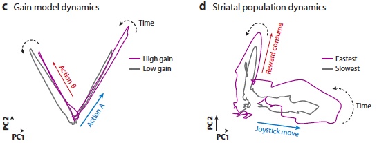 3/ Thus one should expect movement-specific representations in the BG that reflect continuous aspects of how the movement is being performed. For instance, as in striatal representations of the speed of concurrent licking and forearm movements in a mouse.