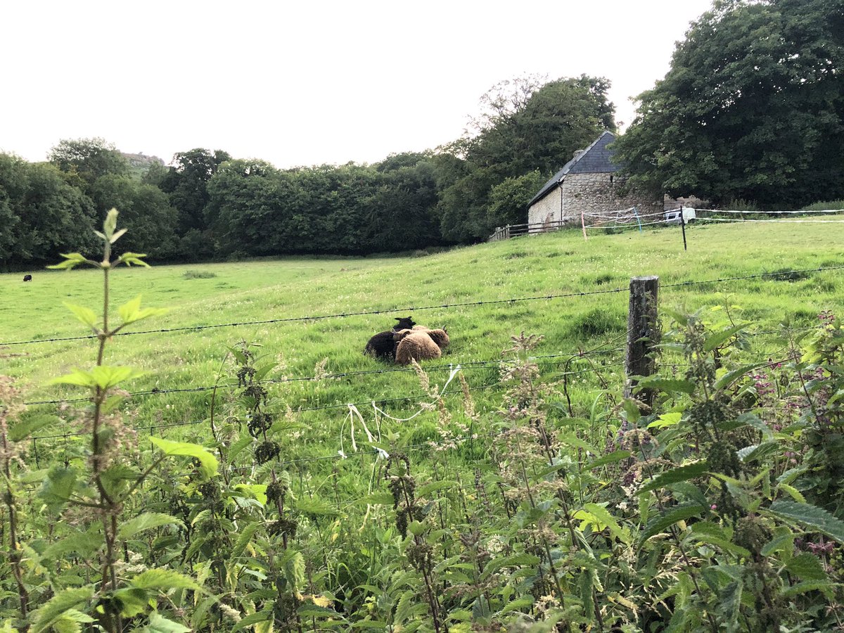 HoundtorCamping's tweet photo. Just to let you know....
We are OPEN!
Yes there are restrictions, but really, as they just mean you have the barn to yourself (or your two household bubble)what’s not to love?
Come stay!
https://t.co/Q9YYPAejjl
#dartmoor #devon #campinginside https://t.co/Zbt4gShxwk