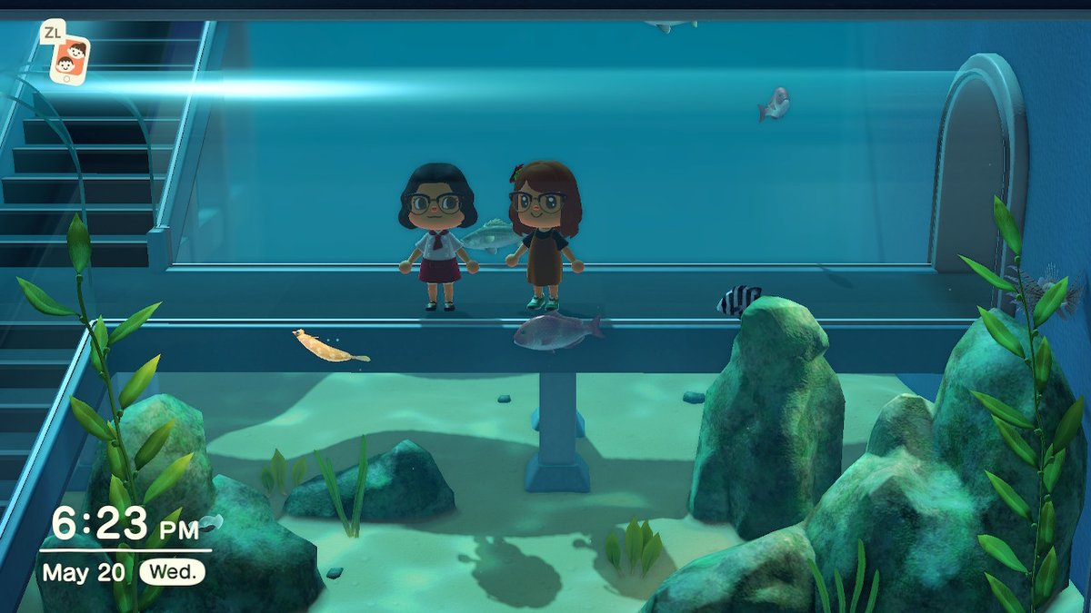 tu_cola_'s tweet photo. #AnimalCrossing #ACNH #NintendoSwitch https://t.co/aS3tQYTImN