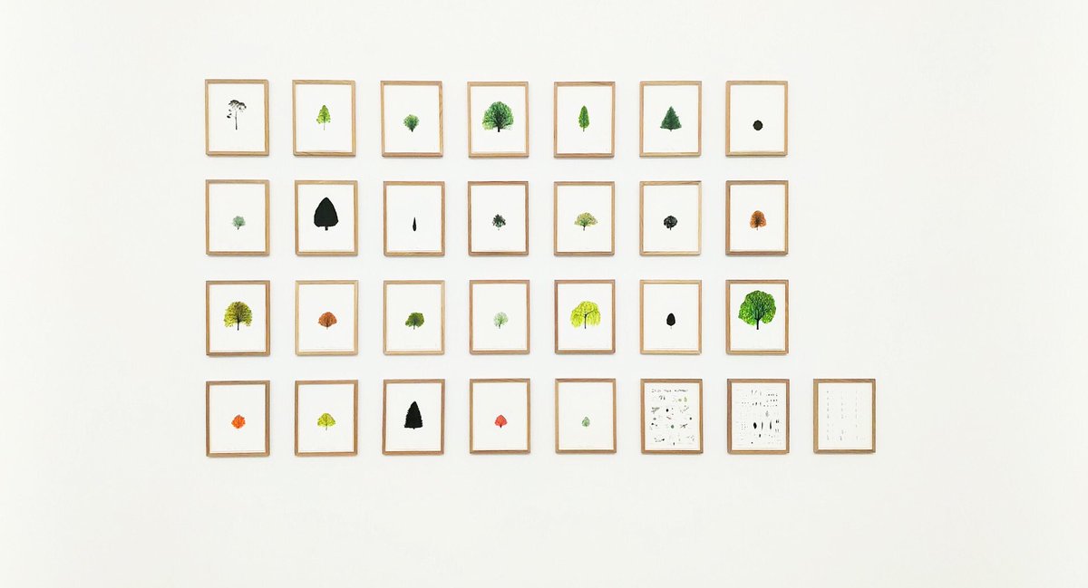 katieholten's tweet photo. As I can’t be there myself, it’s lovely to experience my show at VISUAL through other people’s photos, like these by Helena Gorey and @Kaiameye. Thanks to all for visiting and enjoying the #IrishTreeAlphabet. Don’t forget to write a love letter in Trees. 🌱 https://t.co/hfzAVwzq9e