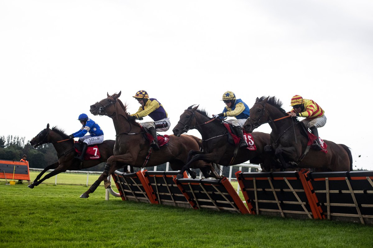 My Racing Tips tweet media