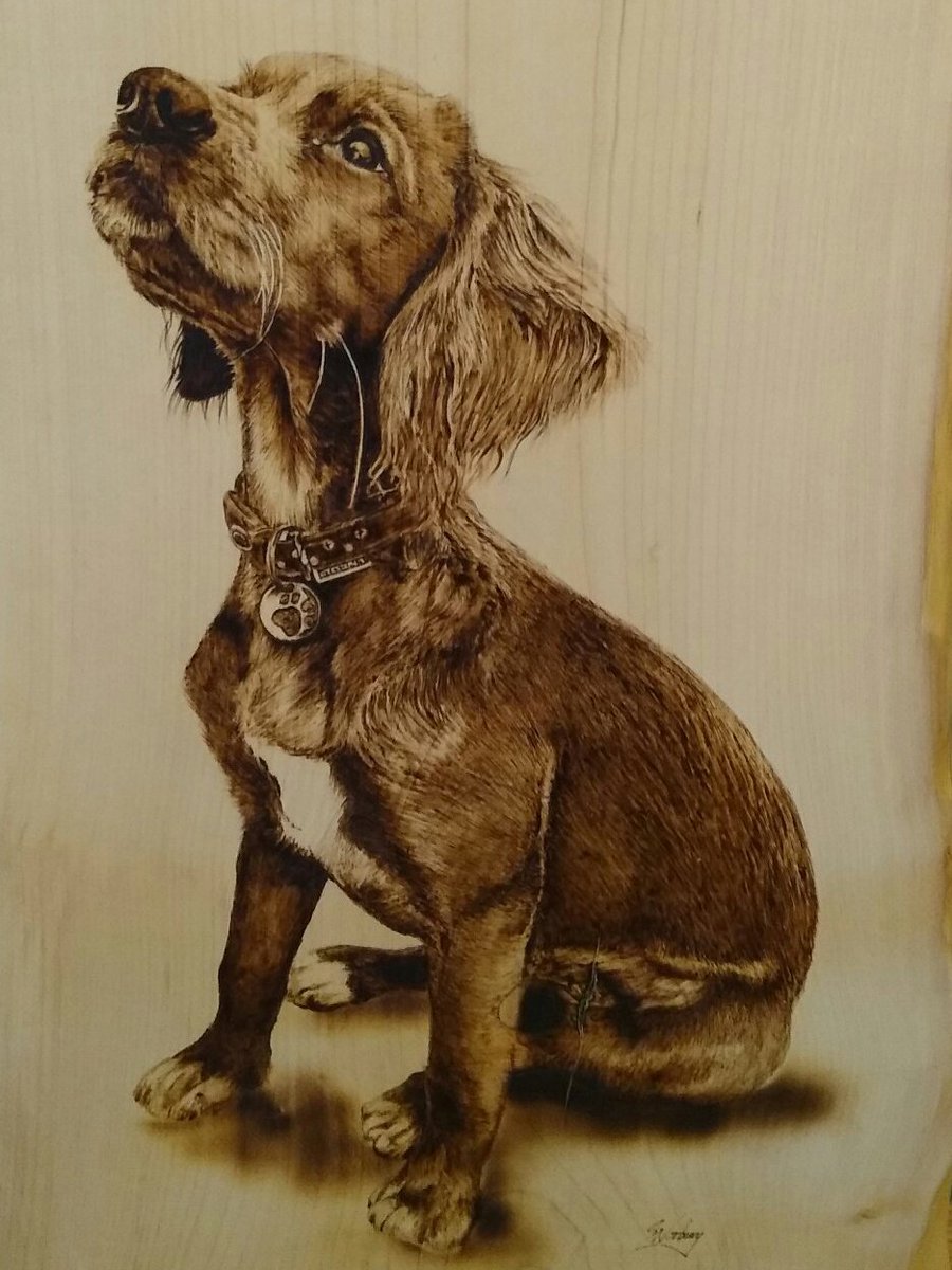 Twittartists's tweet photo. After a short break, we are resuming populating our delightful thread on #dogs #pencilart

Artists:
Samantha Norbury @SamsArtyArt 
Elizabeth Hemming @e_hemming_art 
Kayla Irving @KGeeArt 
Willy Grattan @willygrattan https://t.co/Wsc6ZfcJwL