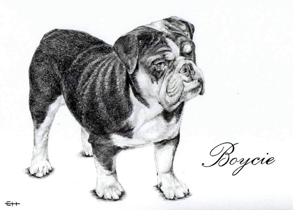 Twittartists's tweet photo. After a short break, we are resuming populating our delightful thread on #dogs #pencilart

Artists:
Samantha Norbury @SamsArtyArt 
Elizabeth Hemming @e_hemming_art 
Kayla Irving @KGeeArt 
Willy Grattan @willygrattan https://t.co/Wsc6ZfcJwL
