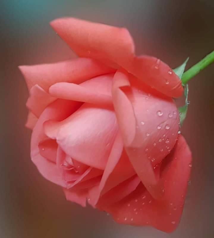 @sabahsidou لكي مني كل التقدير و الاحترام اختي العزيزة