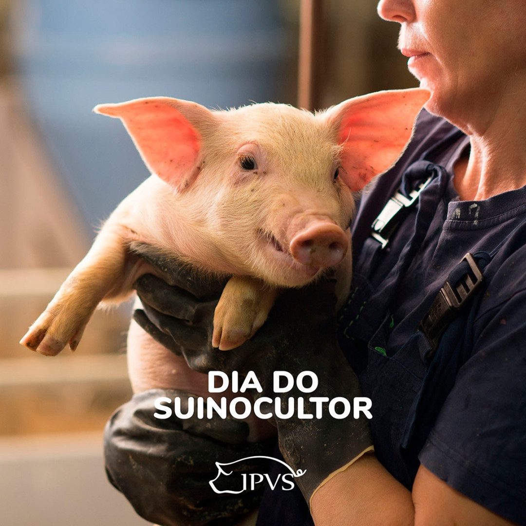ipvs2022's tweet image. 🐖 Hoje é dia de quem ama, se dedica e mantém um compromisso constante de q... instagram.com/p/CDCSZKAHIw7
