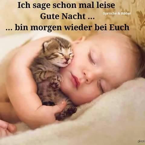 Ingeborg Hoverkamp En Twitter Gute Nacht Liebe Twitter Freundinnen Und Freunde Schlaft Gut Ins Wochenende Hinuber Und Wacht Morgen Mit Guter Laune Auf T Co Ymjk8quyts