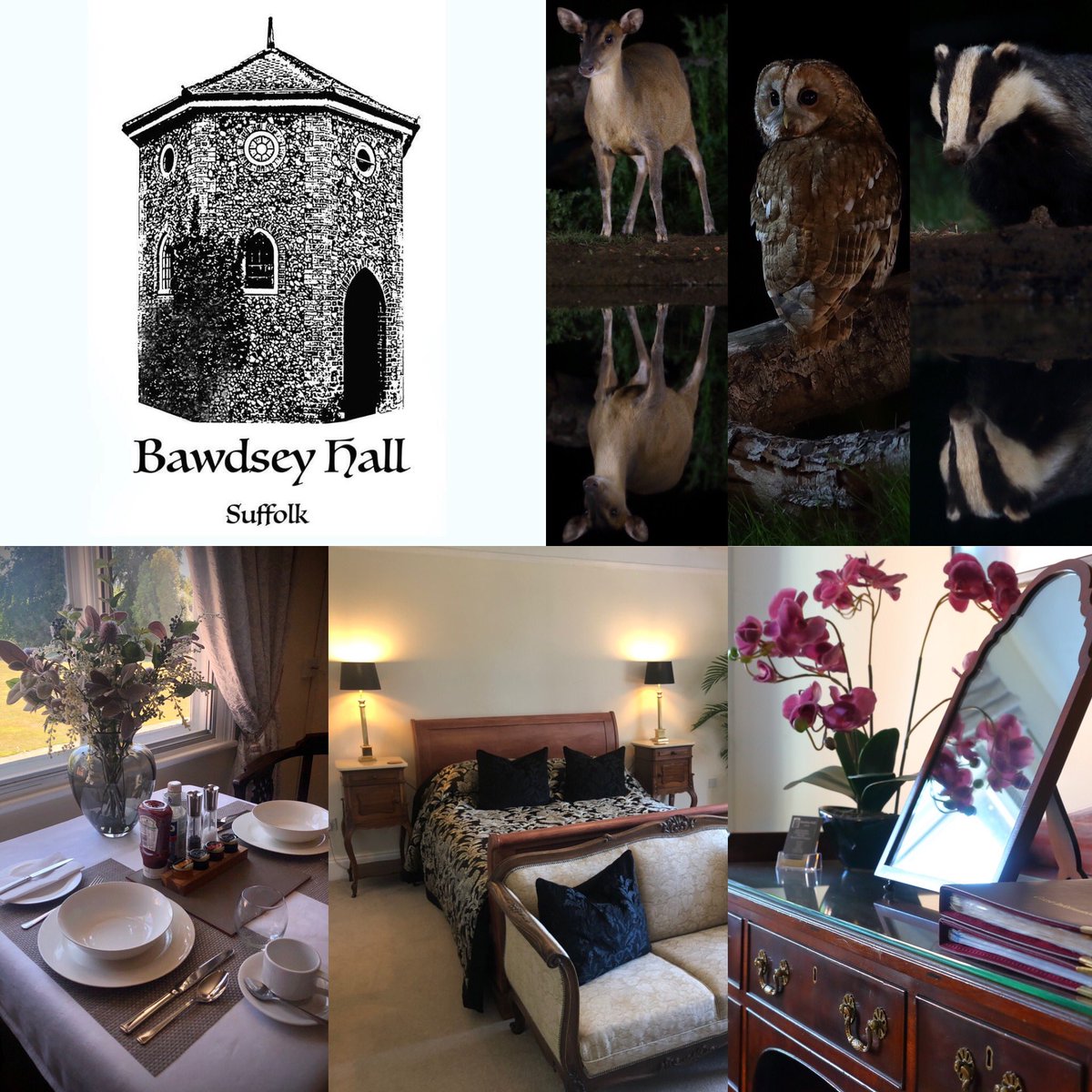 Bawdsey_Hall's tweet photo. Treat yourself and get away. We have one room left for a 1 night stay night this Sunday, 26th July and Wednesday 29th July.
#tobook contact bawdseyhallsuffolk@outlook.com or visit https://t.co/YtSuLMuCpx https://t.co/elcsmQbzmS